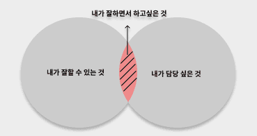 담당 영역